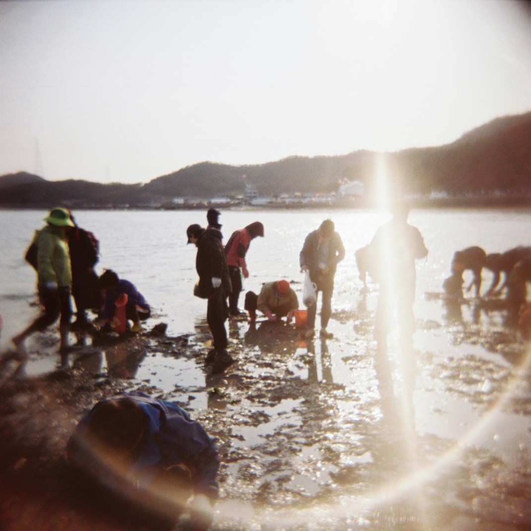 Jindo Sea Parting Festival 