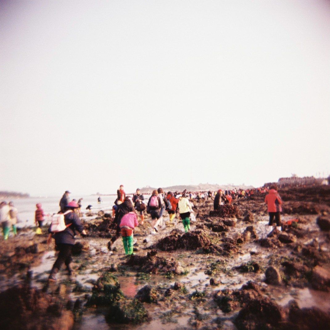 Jindo Sea Parting Festival 