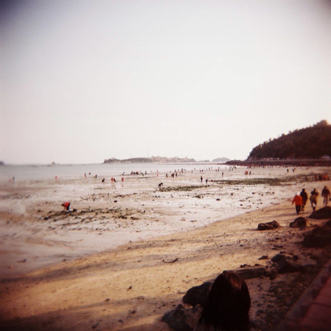 Jindo Sea Parting Festival 