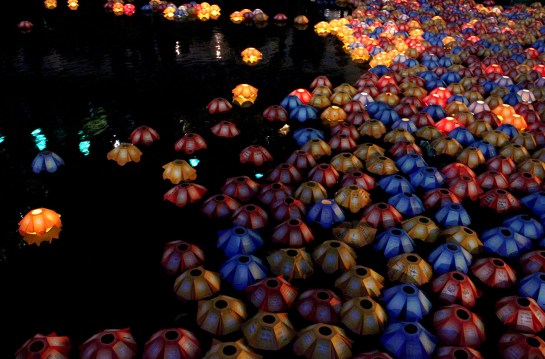 Seoul Lantern Festival 