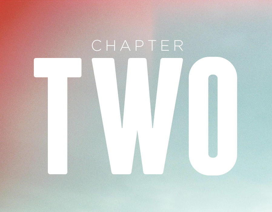 Chapter Two 