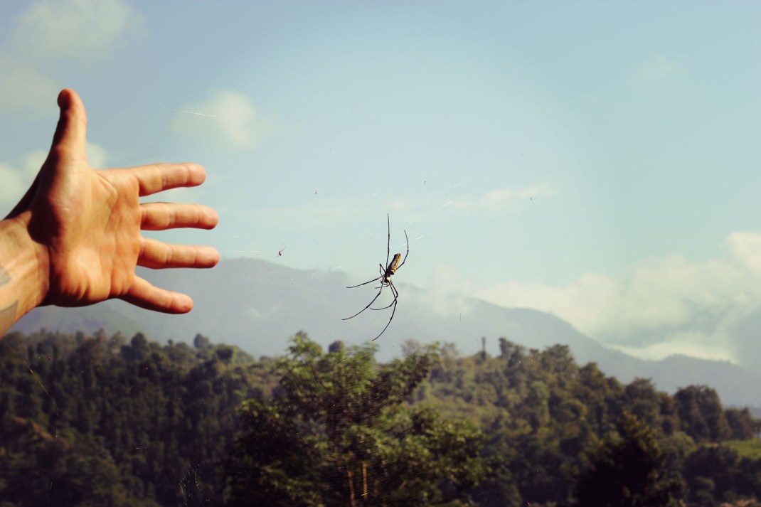 The Royal Beach Camp