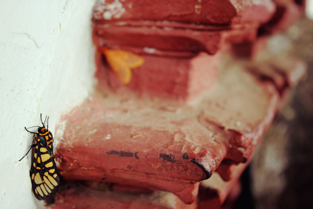 Kathmandu Durbar Square 