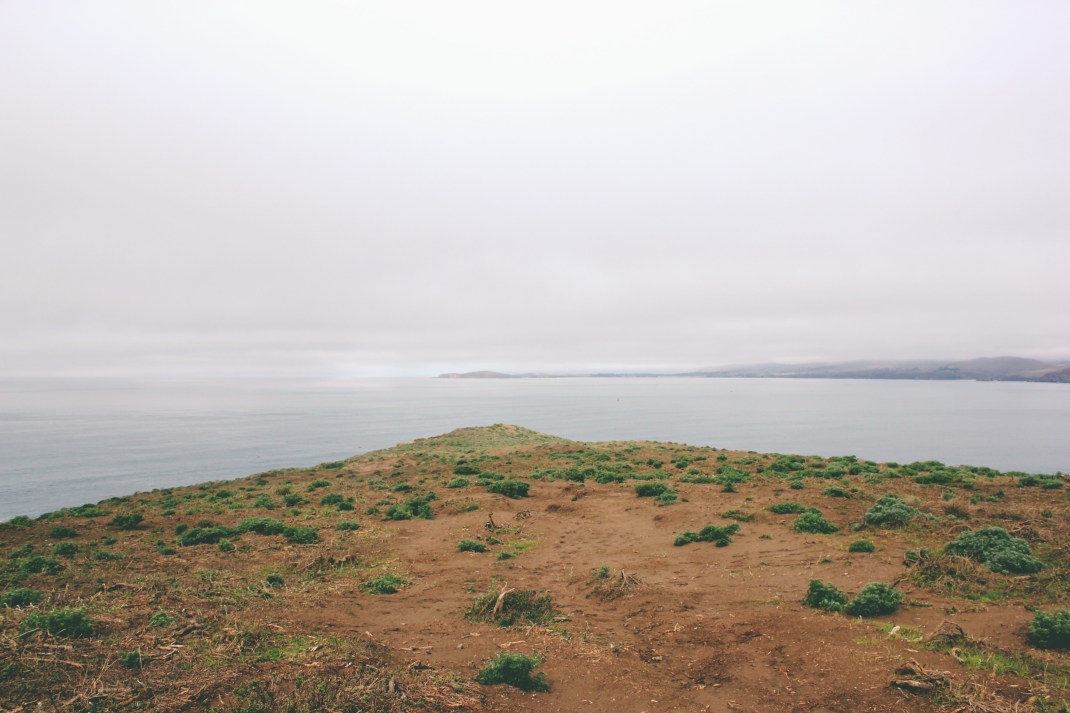 Tomales Point Hike