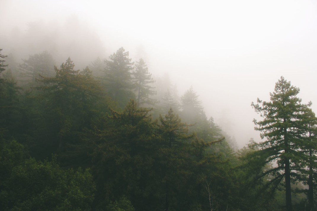 Julia Pfeiffer Burns State Park 