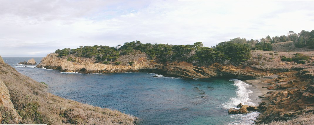 Point Lobos, California 
