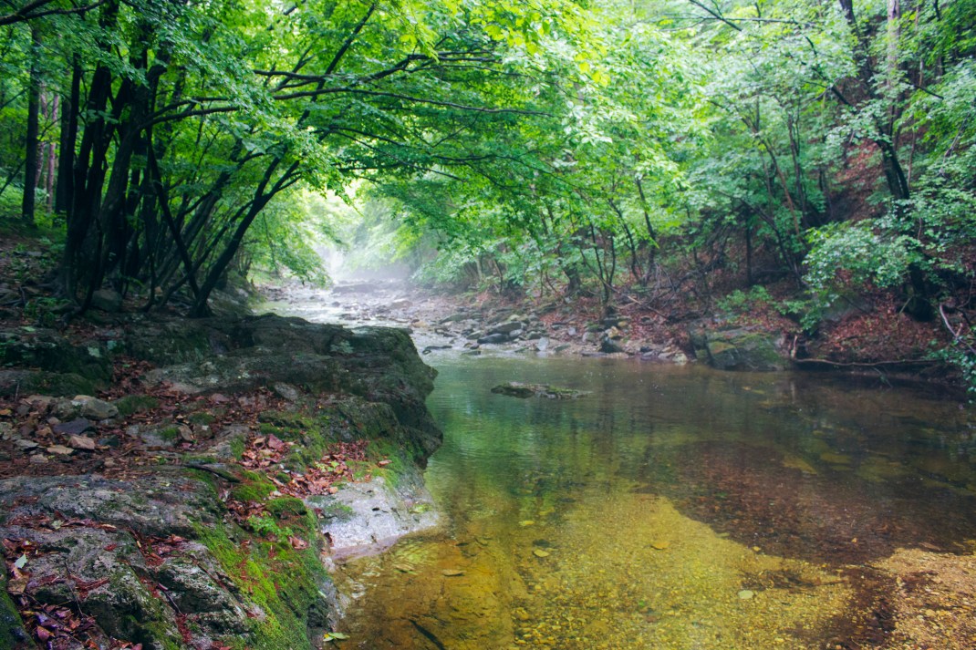 Jubang Valley, Juwangsan National Park 