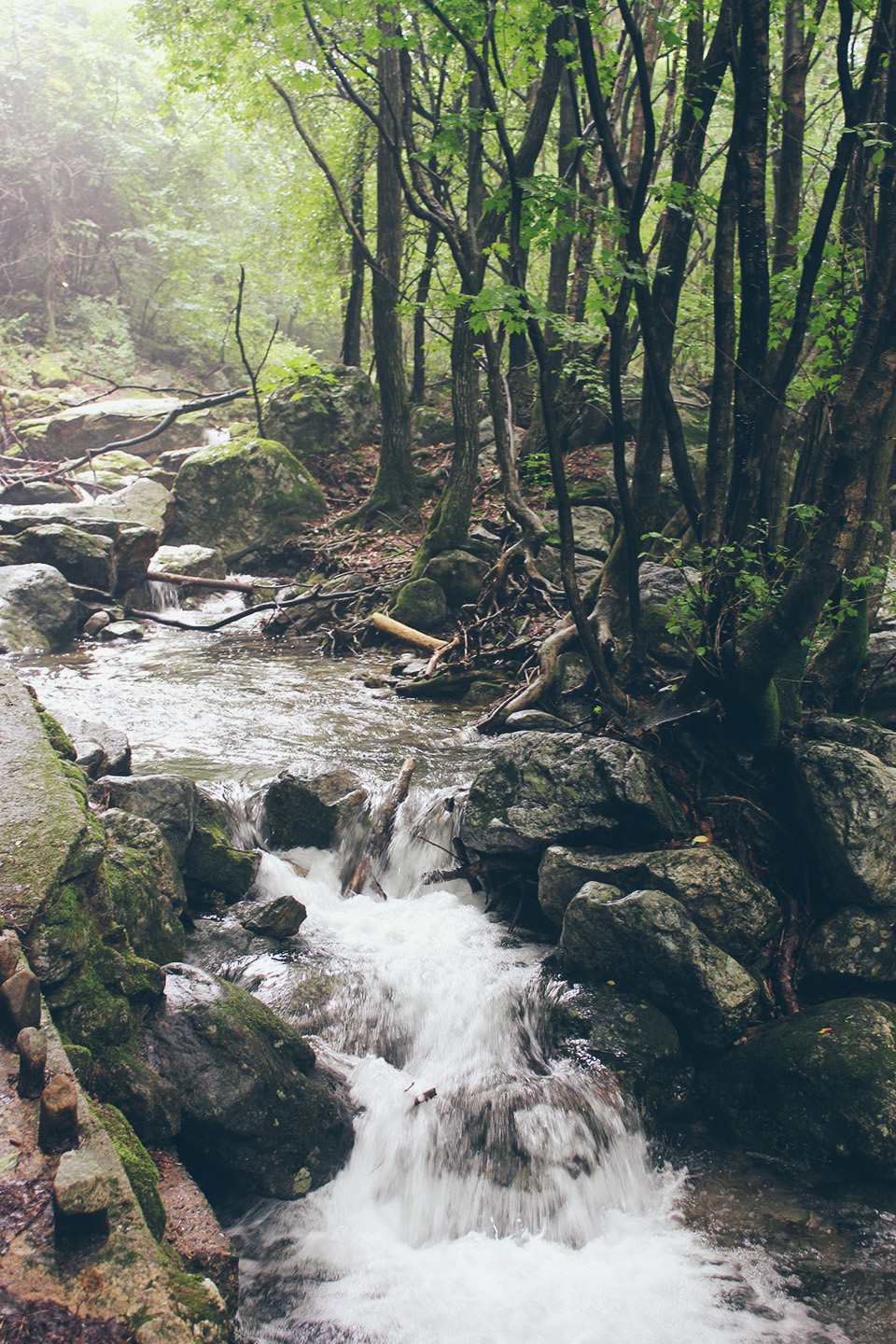 Chiaksan National Park