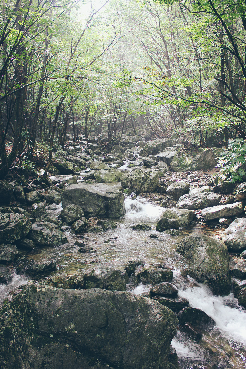 Chiaksan National Park