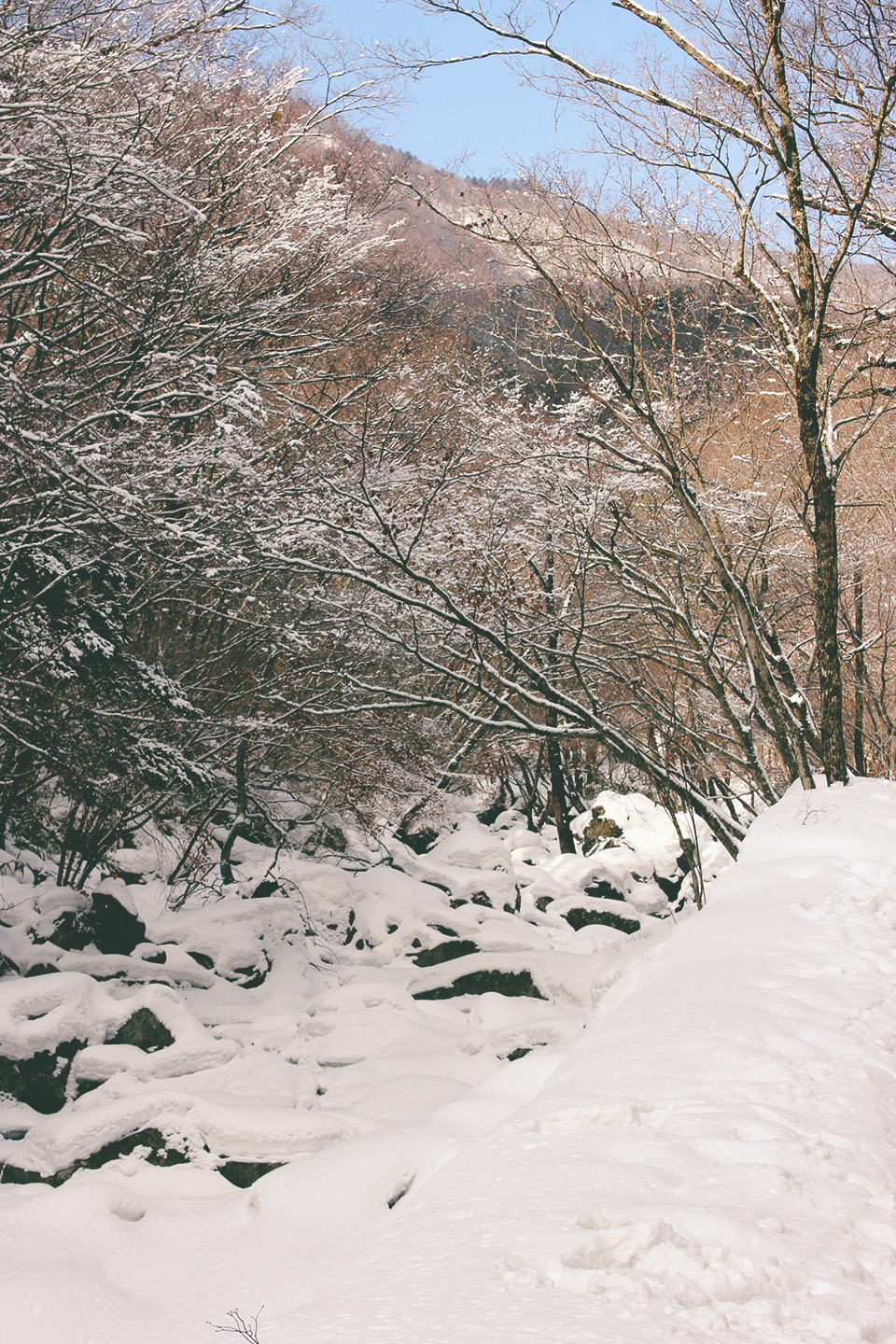 Deogyusan National Park 