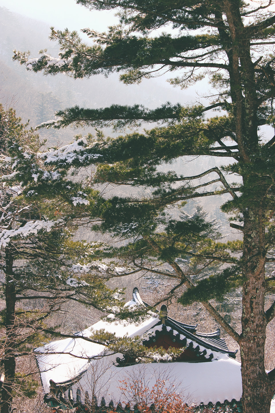 Deogyusan National Park 